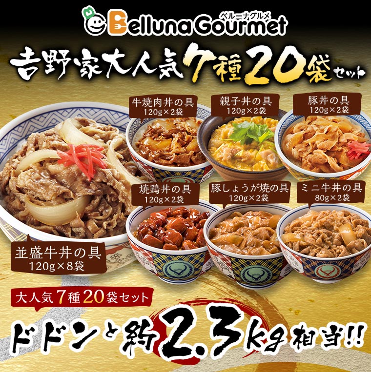 吉野家 並盛り どんぶり 2個セット 吉野家 並盛どんぶり 2個セット 新品未